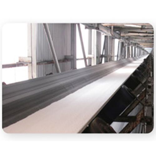 Chemical Resistant Conveyor Belt 